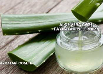 Aloe Vera Göze Faydaları Nelerdir?