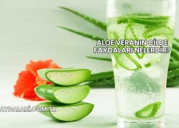 Aloe Veranın Cilde Faydaları Nelerdir?