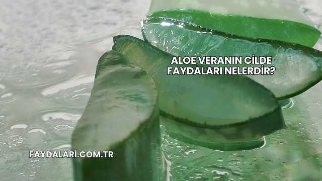 Aloe Veranın Cilde Faydaları Nelerdir?