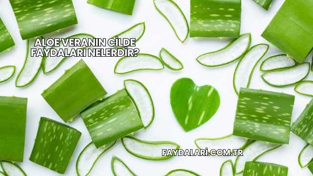 Aloe Veranın Cilde Faydaları Nelerdir?