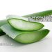 Aloevera Bitkisinin Faydaları Nelerdir?