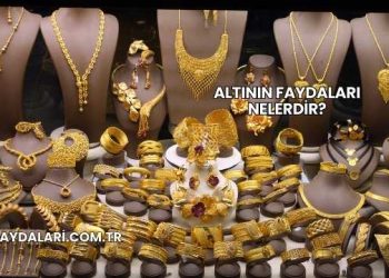 Altının Faydaları Nelerdir?