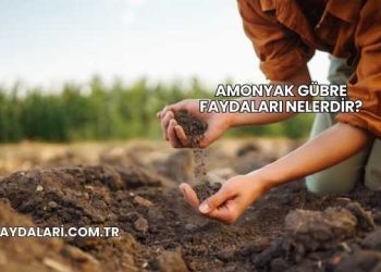 Amonyak Gübre Faydaları Nelerdir?