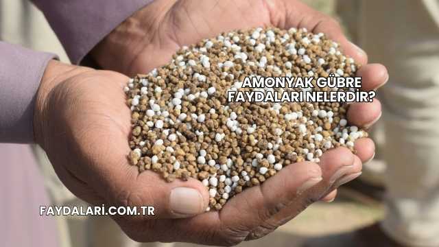 Amonyak Gübre Faydaları Nelerdir?