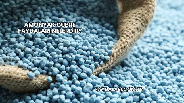 Amonyak Gübre Faydaları Nelerdir?