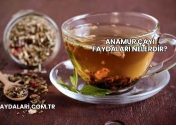 Anamur Çayı Faydaları Nelerdir?
