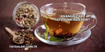 Anamur Çayı Faydaları Nelerdir?