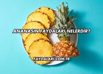 Ananasın Faydaları Nelerdir?