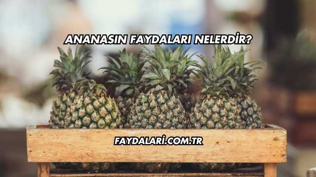 Ananasın Faydaları Nelerdir?