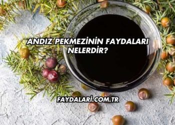 Andız Pekmezinin Faydaları Nelerdir
