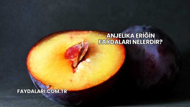 Anjelika Eriğin Faydaları Nelerdir?