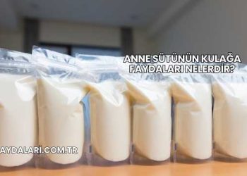 Anne Sütünün Kulağa Faydaları Nelerdir?