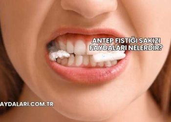 Antep Fıstığı Sakızı Faydaları Nelerdir?