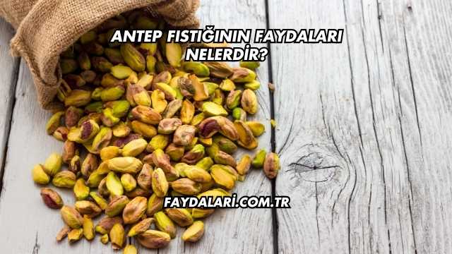 Antep Fıstığının Faydaları Nelerdir?