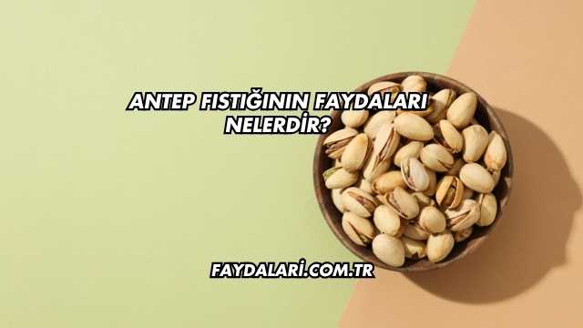Antep Fıstığının Faydaları Nelerdir?