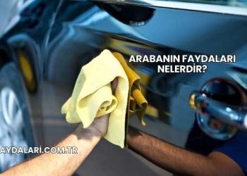 Arabanın Faydaları Nelerdir?