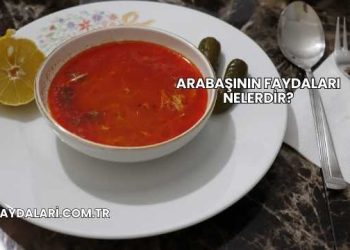 Arabaşının Faydaları Nelerdir?