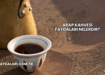 Arap Kahvesi Faydaları Nelerdir?