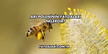 Arı Poleninin Faydaları Nelerdir?