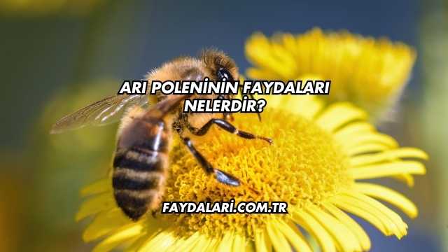 Arı Poleninin Faydaları Nelerdir?