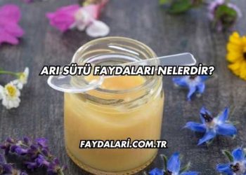 Arı Sütü Faydaları Nelerdir?