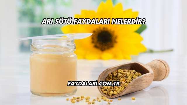 Arı Sütü Faydaları Nelerdir?