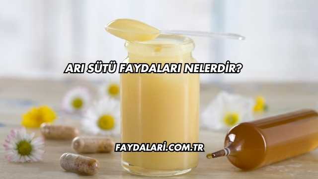 Arı Sütü Faydaları Nelerdir?