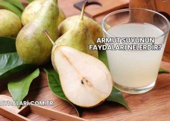 Armut Suyunun Faydaları Nelerdir?