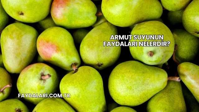 Armut Suyunun Faydaları Nelerdir?