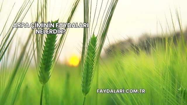 Arpa Çiminin Faydaları Nelerdir?