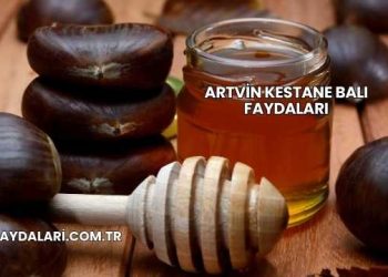 Artvin Kestane Balı Faydaları