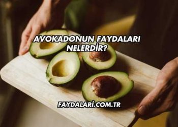 Avokadonun Faydaları Nelerdir?