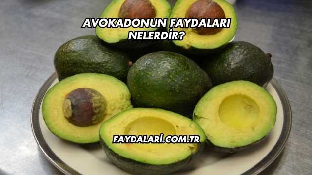Avokadonun Faydaları Nelerdir?