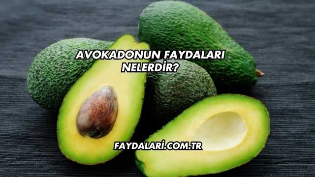 Avokadonun Faydaları Nelerdir?
