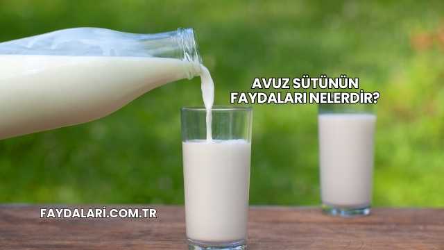 Avuz Sütünün Faydaları Nelerdir?