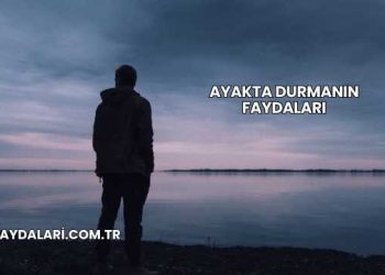 Ayakta Durmanın Faydaları