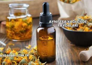 Aynısefa Yağı Cilde Faydaları