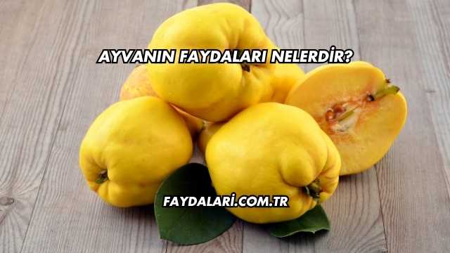 Ayvanın Faydaları Nelerdir?