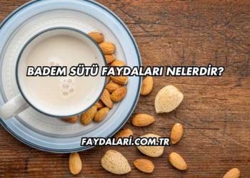Badem Sütü Faydaları Nelerdir?