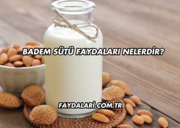 Badem Sütü Faydaları Nelerdir?