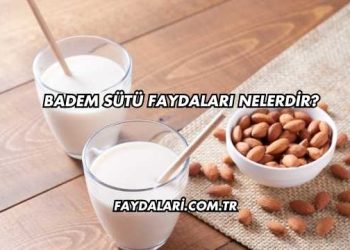 Badem Sütü Faydaları Nelerdir?