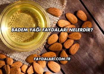 Badem Yağı Faydaları Nelerdir?