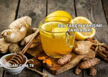 Bal Tarçın Karışımı Faydaları