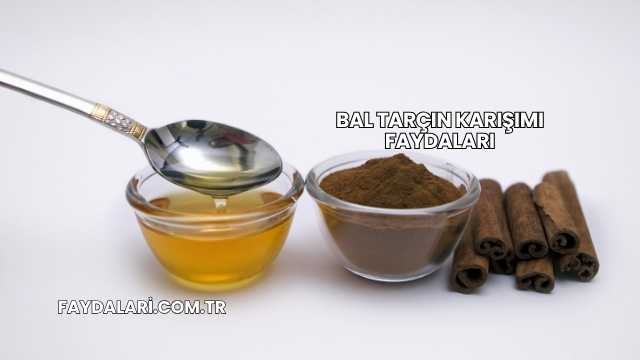 Bal Tarçın Karışımı Faydaları