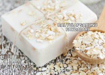 Bal Yulaf Sabunu Faydaları