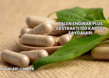 Balen Enginar Plus Ekstraktı 100 Kapsül Faydaları