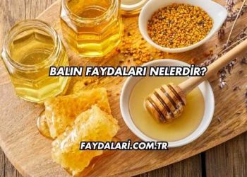 Balın Faydaları Nelerdir?