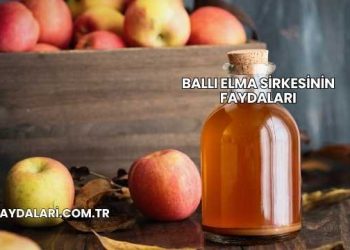 Ballı Elma Sirkesinin Faydaları