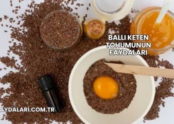 Ballı Keten Tohumunun Faydaları