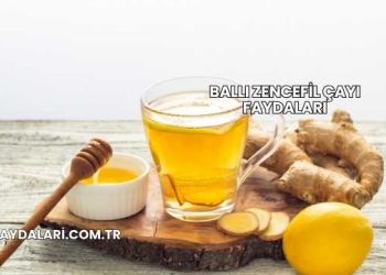 Ballı Zencefil Çayı Faydaları